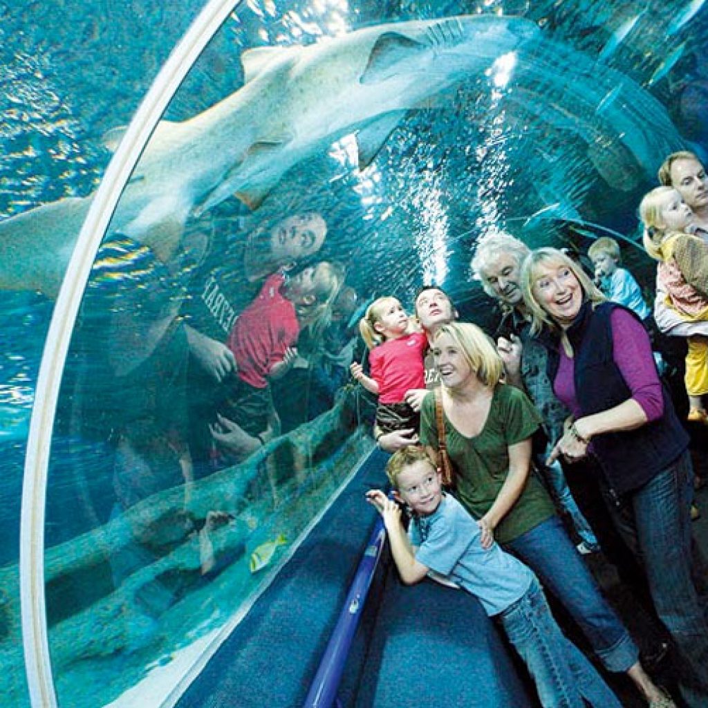 Deep Sea World - Walk Fife