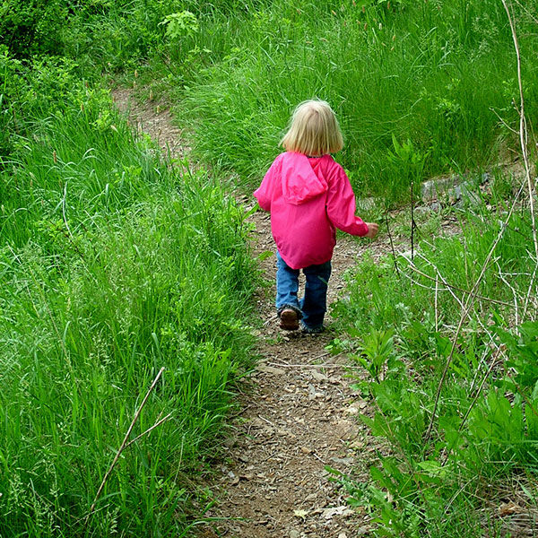 Walk Fife - Exploring the Kingdom of Fife on foot