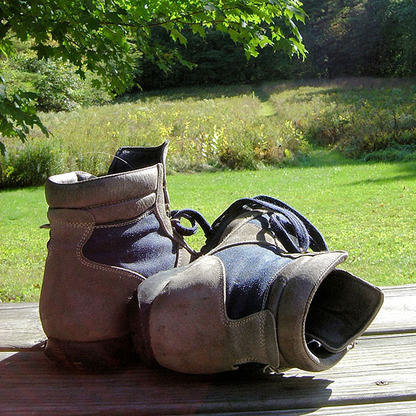 Walk Fife - Exploring the Kingdom of Fife on foot