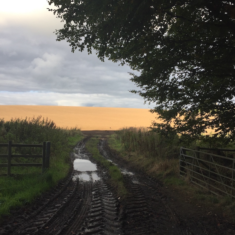 The Fife countryside is brilliant for walkers - Walk Fife