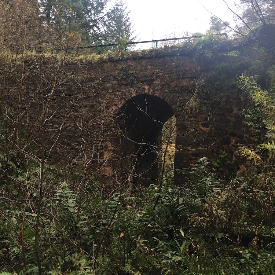 Blairadam Forest - Walk Fife walking routes