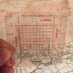 shaven raspberry romer - Walk Fife