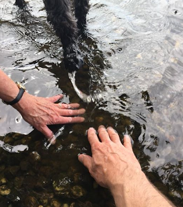 lochbagging in Fife – Walk Fife lochbagging in Fife - Walk Fife