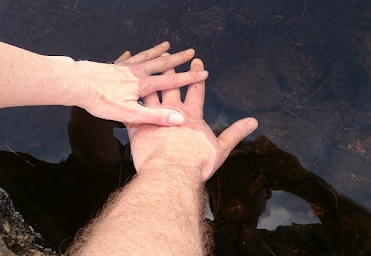 lochbagging in Fife – Walk Fife lochbagging in Fife - Walk Fife