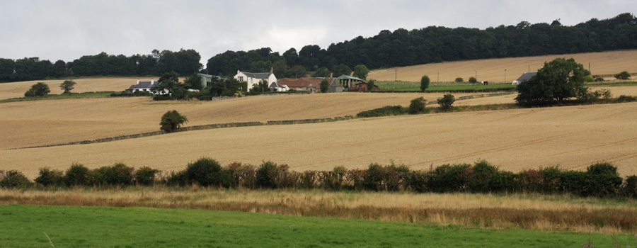 The Fife countryside is ideal for walking - Walk Fife