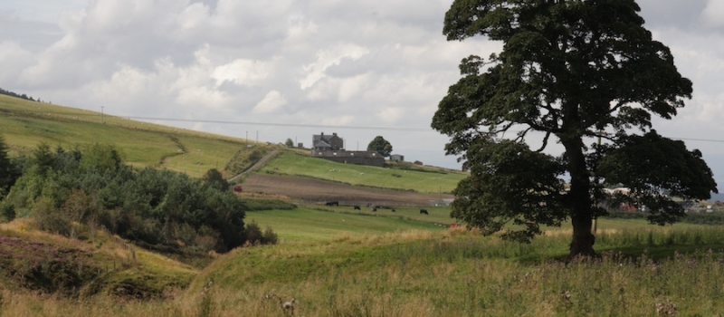 Share your walking route with Walk Fife