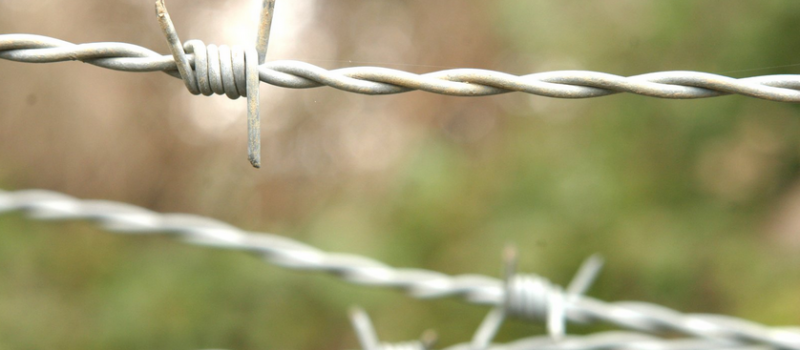 Walk Fife Maintenance Corner