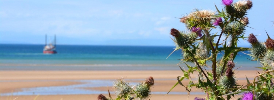 The Fife Coastal Path - Walk Fife